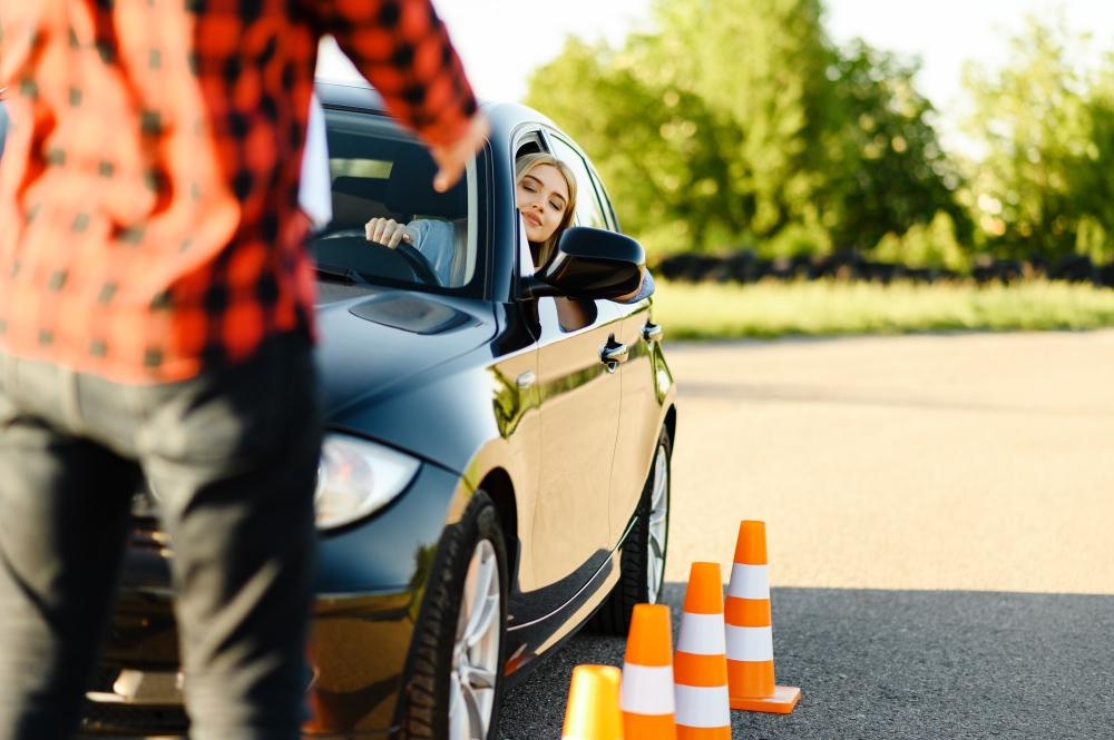 Driving Lessons 